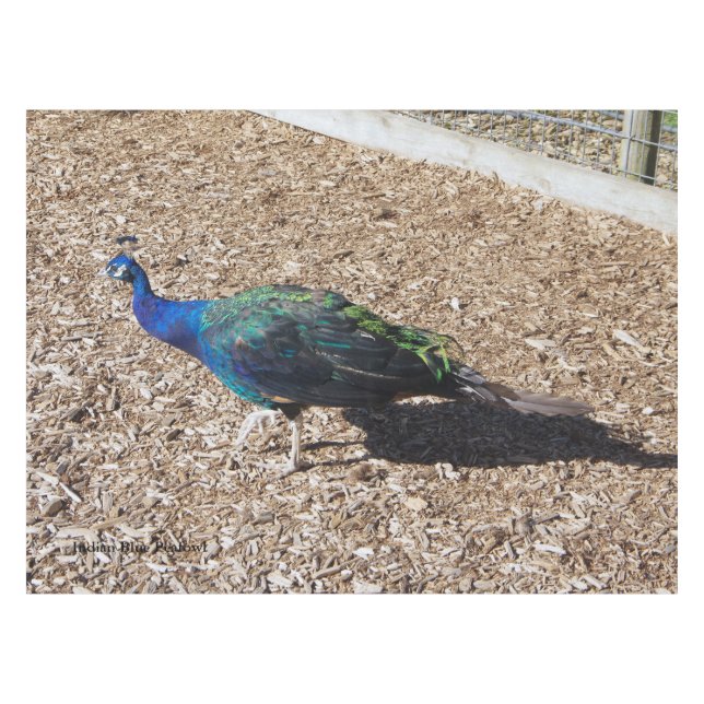 mantel de mesa de pavo real azul indio (Frente (Horizontal))
