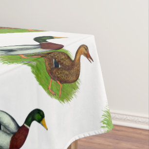 Mantel Drake mallard y pato