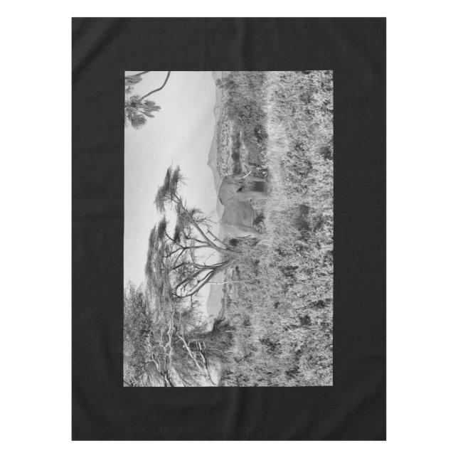 Mantel Elefante en Samburu (Anverso)