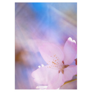 Mantel Flor de cerezo rosa