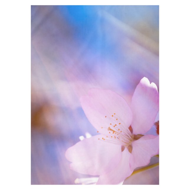 Mantel Flor de cerezo rosa (Anverso)