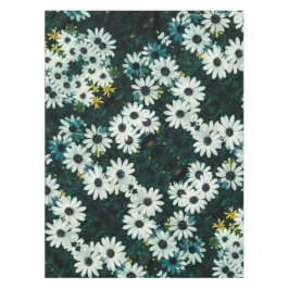 Mantel Flores Pale Pastel Namaqualand Osteospermum