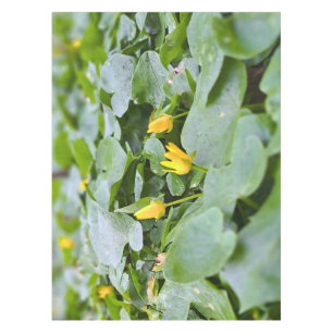 Mantel Flores Silvestres del Bosque – Fotografía Botánica