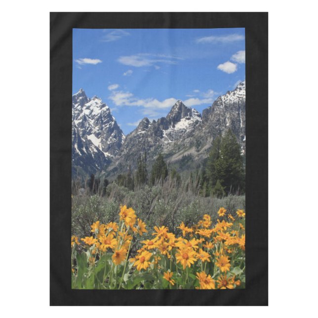Mantel Foto de recuerdo de Grand Teton Springtime (Anverso)