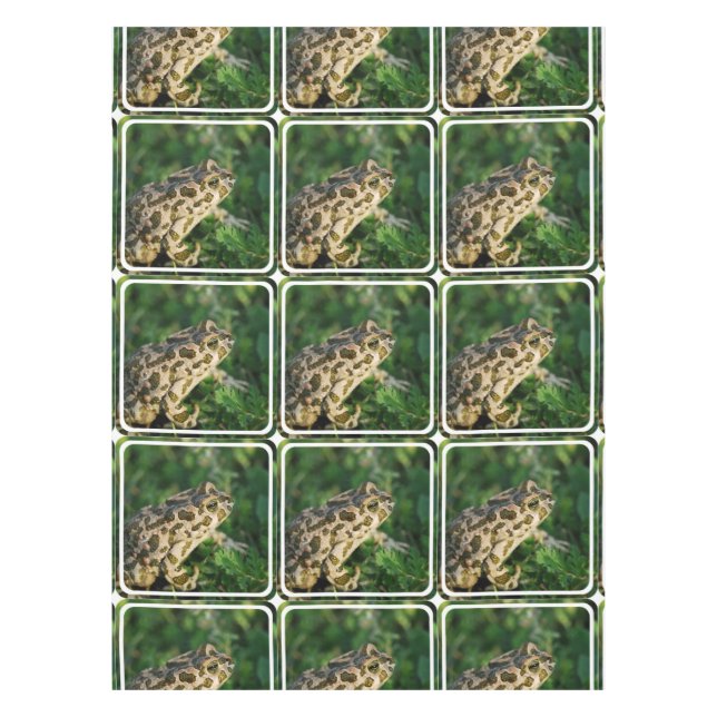 Mantel Froggy (Anverso)