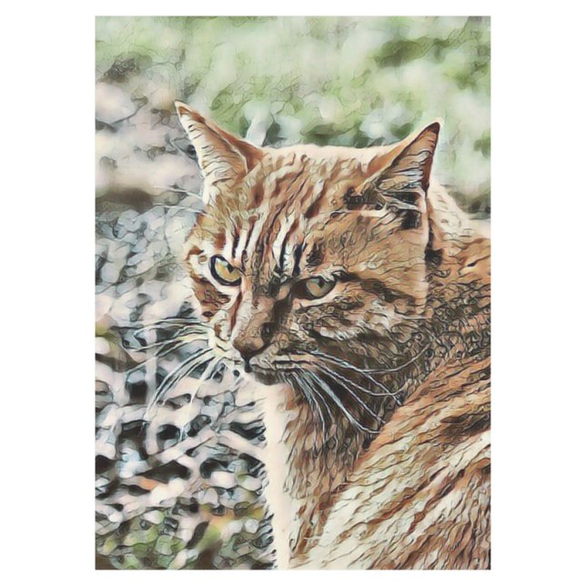 Mantel gato de juguete (Anverso)