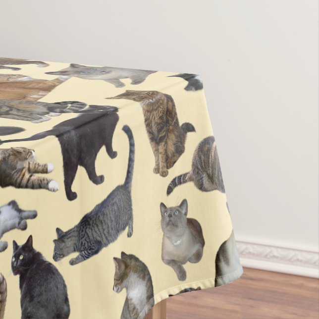 Mantel Gatos (In Situ)