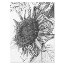 Gigantes Sunflowers Vintage Arte Blanco Y Negro