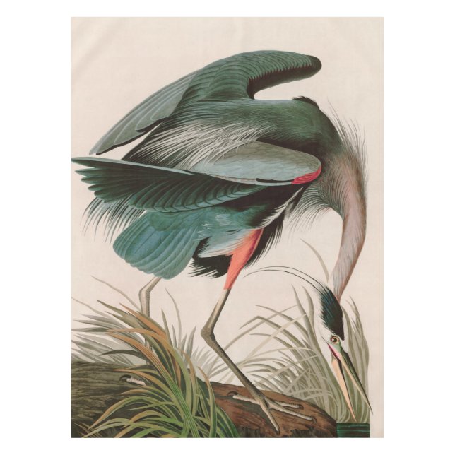 Mantel Grandes aves de garza azul de América Impresión Au (Anverso)