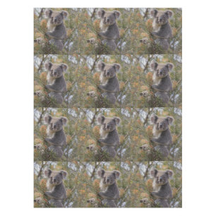 Mantel Grevillea Koala Bear,
