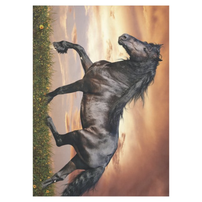 Mantel Hermoso caballo negro (Anverso)