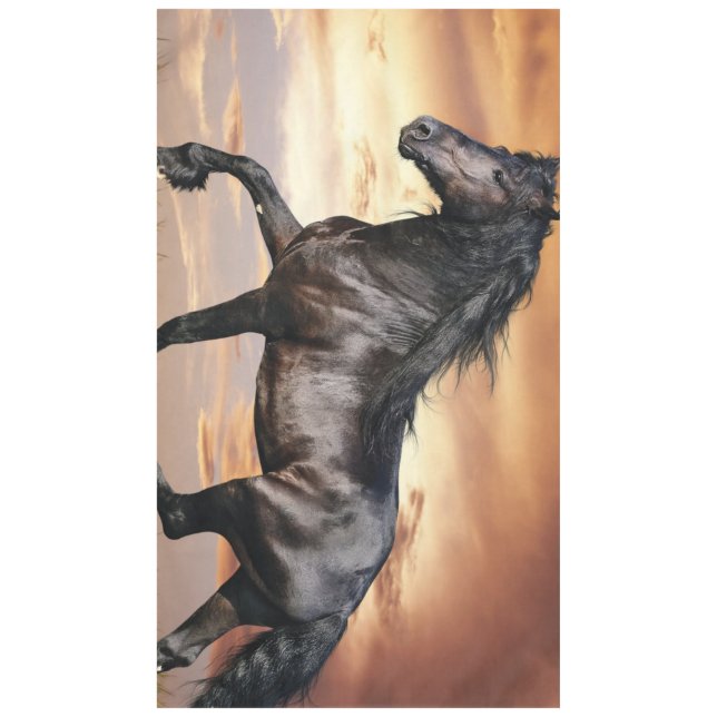 Mantel Hermoso caballo negro (Anverso)