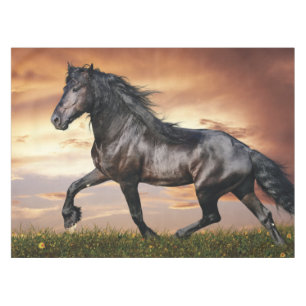 Mantel Hermoso caballo negro