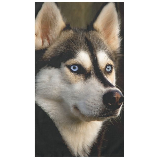 Mantel Hermoso Cojín decorativo Husky (Anverso)