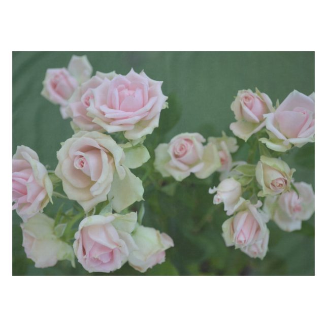 Mantel Hermosos rosas de jardín rosa claro (Frente (Horizontal))