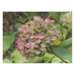 Mantel Hidrangea de otoño con hojas de Hosta dorada