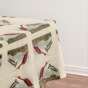 Mantel Ibis escarlata - de los pájaros de los Estados Uni