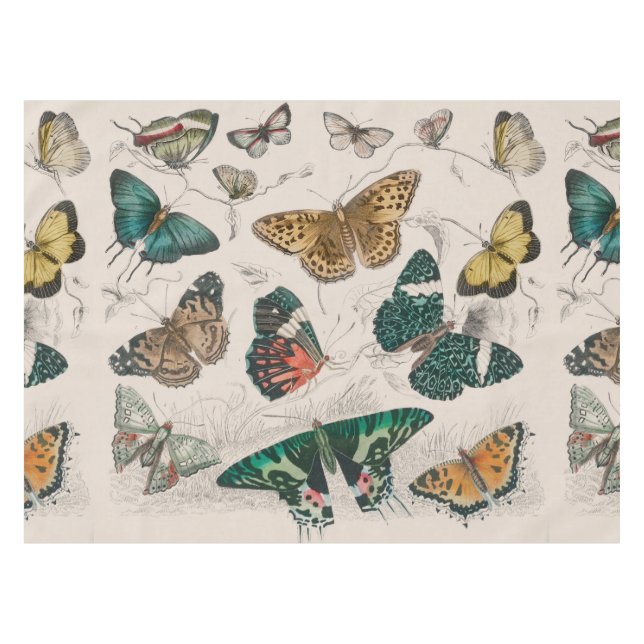 Mantel Ilustración antigua de mariposa: Orfebre de 1820 (Frente (Horizontal))