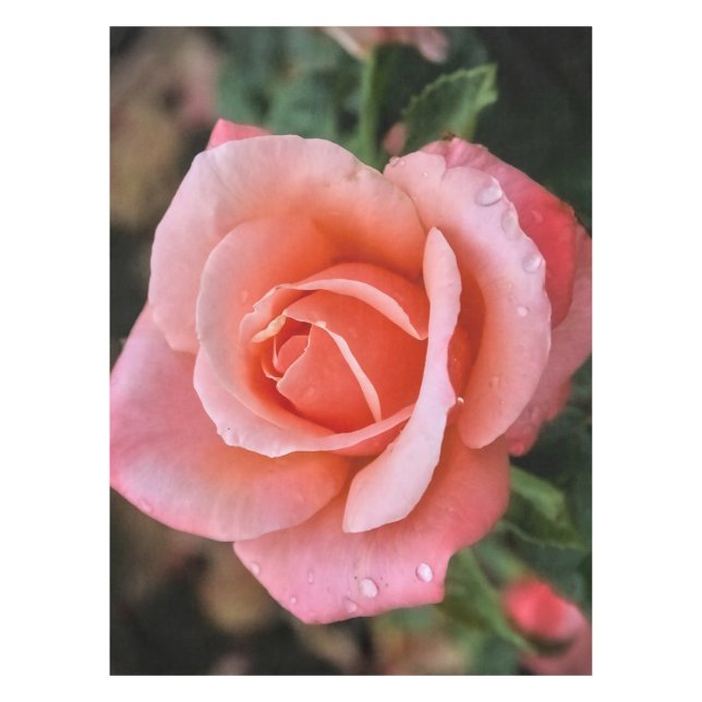 Mantel Impresión de arte botánico Rosa romántico (Anverso)