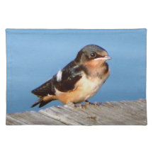 Colocación de la tela para tragar en el grano