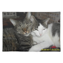 gatos en amor