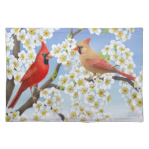 Pares cardinales septentrionales Placemat