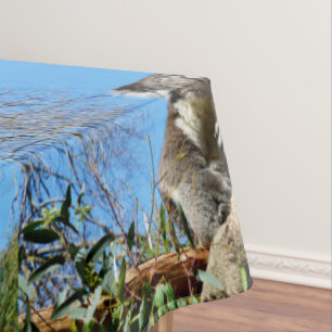 Mantel Koala Tiene Tiempo Para Reflexionar Sobre La Vida,
