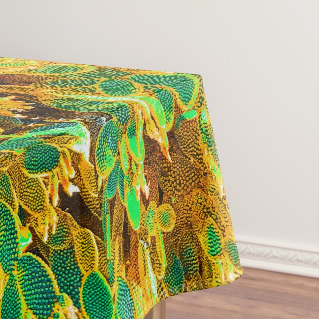 Mantel Las plantas de cactus en el desierto de África cal (In Situ)