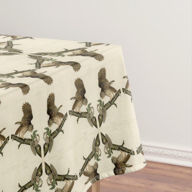 Mantel Lechuza Barrada, los pájaros de América de John Ja (In Situ)