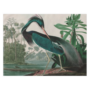 Mantel Louisiana Heron Birds of America Audubon Print
