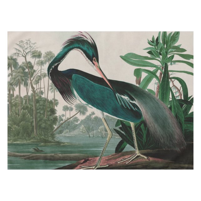 Mantel Louisiana Heron Birds of America Audubon Print (Frente (Horizontal))