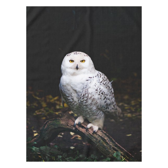 Mantel Majestuoso búho de invierno (Anverso)