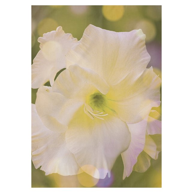 Mantel Mantlecloth Sword Lily Green Bokeh (Anverso)