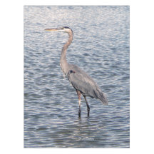 manto de agua Blue Heron