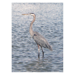 Mantel manto de agua Blue Heron