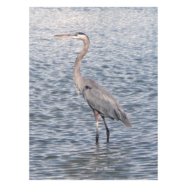 Mantel manto de agua Blue Heron (Anverso)