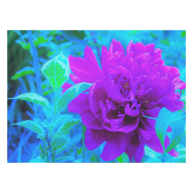 Mantel Moody Purple Peony con el hermoso follaje de Weige (Frente (Horizontal))