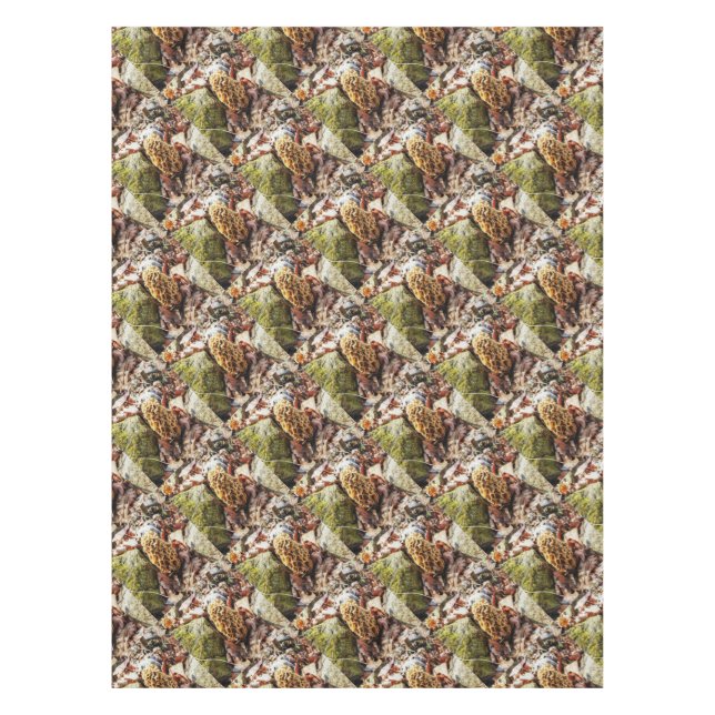 Mantel Morel Mushroom en el salvaje (Anverso)