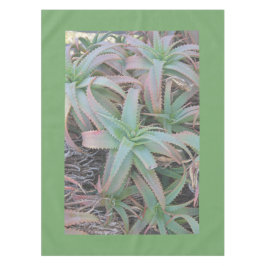 Mantel Nevada succulantes