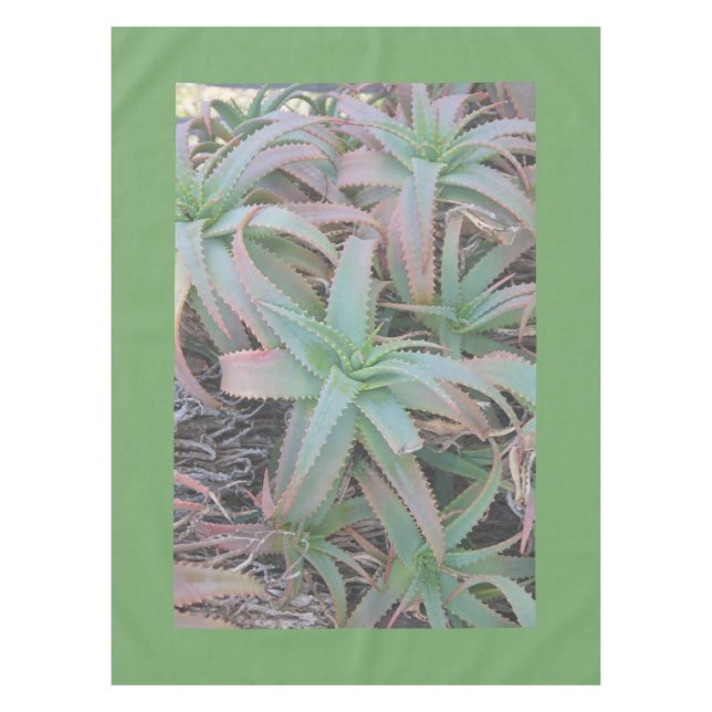 Mantel Nevada succulantes (Anverso)