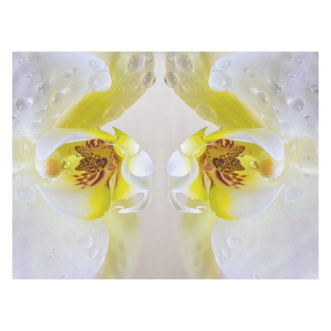 Mantel Orchid Dew (Frente (Horizontal))