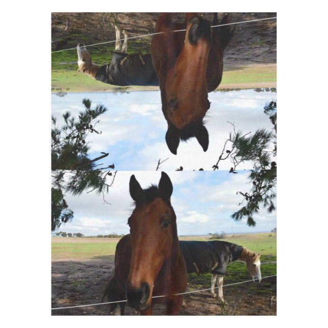 Mantel País de caballo, (Anverso)