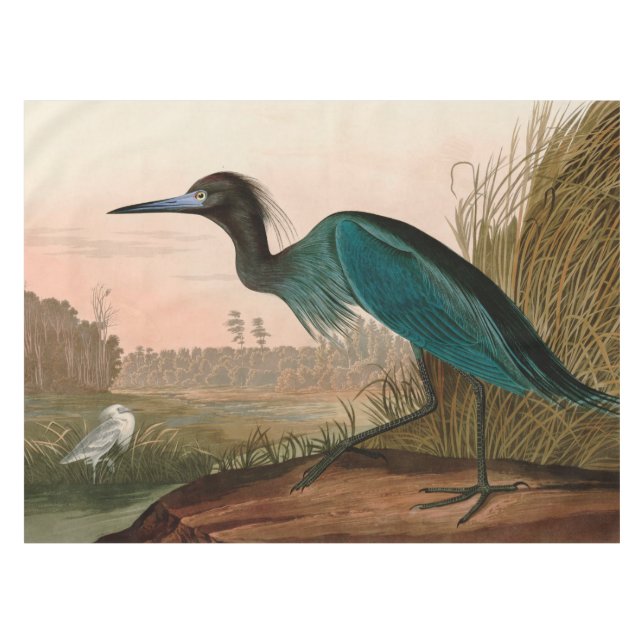 Mantel Papel Audubon azul o garza perón en Estados Unidos (Frente (Horizontal))