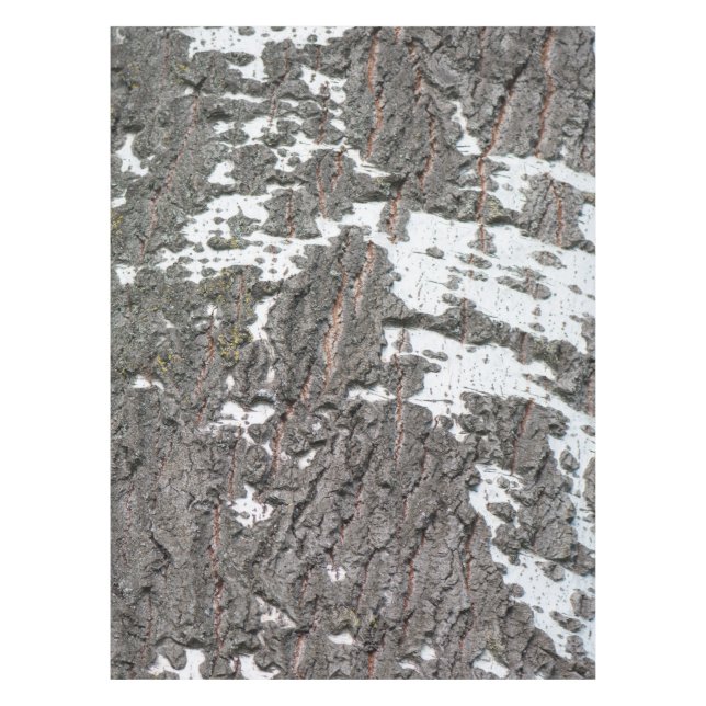 Mantel Patrón de la corteza de Birch (Anverso)