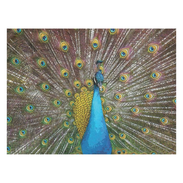 Mantel Pavo real con caída Verde azulado azul y oro (Frente (Horizontal))