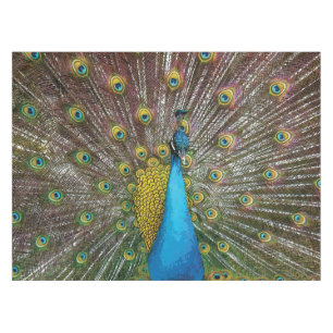 Mantel Pavo real real con plumaje verde azulado del azul