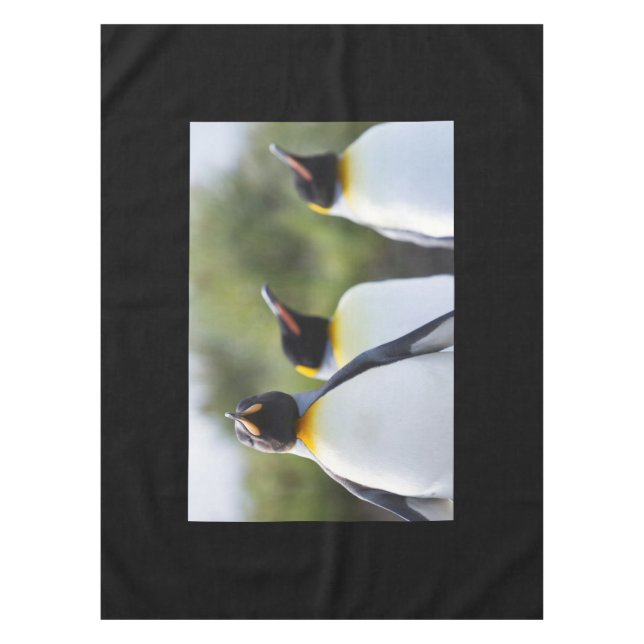 Mantel Pingüinos de rey (Anverso)