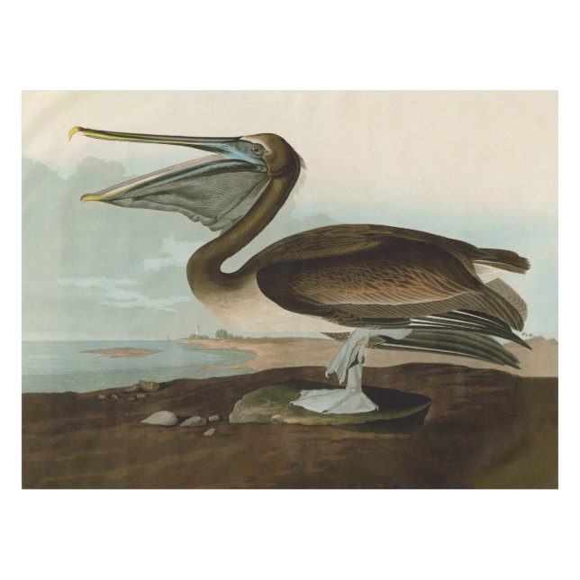 Mantel Pintura de arte pelicano John James Audubon Brown (Frente (Horizontal))