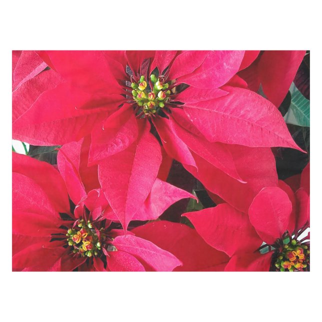 Mantel Poinsettias rojas (Frente (Horizontal))