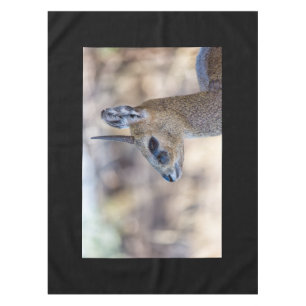 Mantel Retrato de Klipspringer